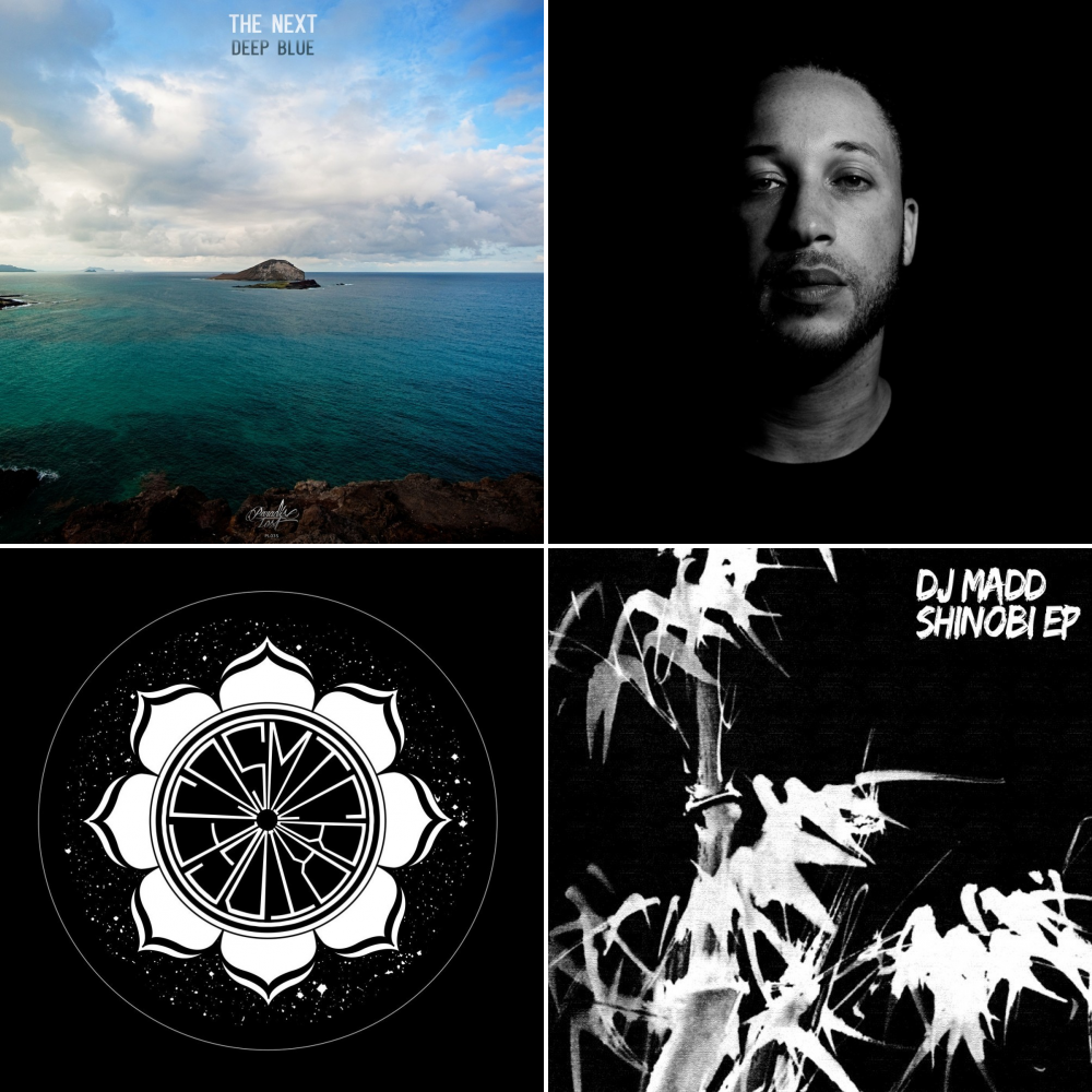D J Madd - Shinobi .jpg D J Madd - Shinobi .jpg