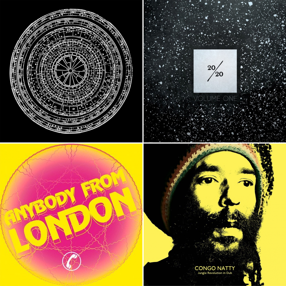 Congo Natty - Jungle Revolution In Dub .jpg Congo Natty - Jungle Revolution In Dub .jpg
