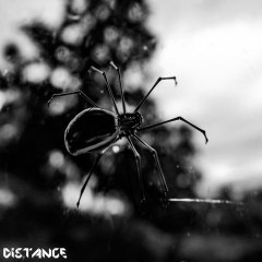  C H S T D 0 0 5 .jpg