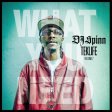  D J Spinn - Teklife Vol 2 .jpg