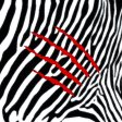  Harmonic 3 1 3 - Lion .jpg