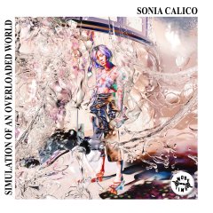  Sonia Calico - Simulation Of An Overloaded World .jpg