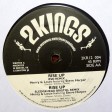 Henry & Louis + Steve Harper - "Rise Up (RSD Remix)" (2Kings 2009)