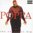 Notorious BIG - "Big Poppa (Club Mix [8])" (Arista 1994)