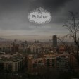 Pulshar - "Mr. Money Man" (Phonobox 2007)
