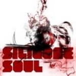  Silicone Soul - Silicone Soul