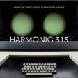 Harmonic 313 - When Machines Exceed Human Intelligence