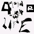 Pmuck - 4th of Life