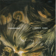 Robert Logan - Cognessence